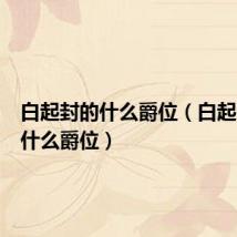 白起封的什么爵位(白起被封为什么爵位)