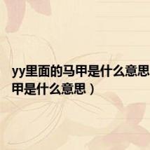 yy里面的马甲是什么意思(yy马甲是什么意思)