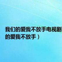 我们的爱我不放手电视剧(我们的爱我不放手)