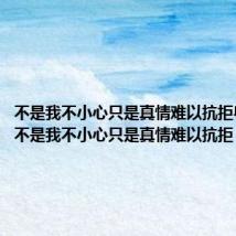 不是我不小心只是真情难以抗拒粤语版(不是我不小心只是真情难以抗拒)