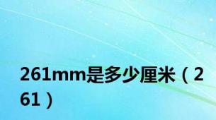 261mm是多少厘米（261）