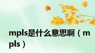 mpls是什么意思啊（mpls）