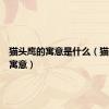 猫头鹰的寓意是什么（猫头鹰的寓意）