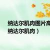 纳达尔肌肉图片高清（纳达尔肌肉）