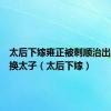太后下嫁雍正被刺顺治出家狸猫换太子（太后下嫁）