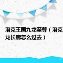 洛克王国九龙至尊(洛克王国九龙长廊怎么过去)