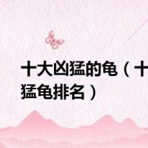 十大凶猛的龟（十大凶猛龟排名）