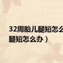 32周胎儿腿短怎么办(腿短怎么办)