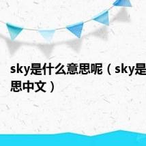 sky是什么意思呢(sky是什么意思中文)