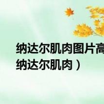 纳达尔肌肉图片高清（纳达尔肌肉）