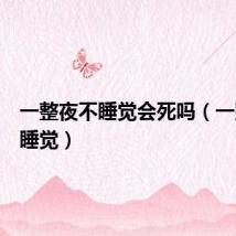 一整夜不睡觉会死吗（一整夜不睡觉）