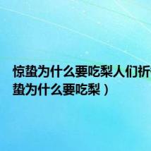 惊蛰为什么要吃梨人们祈祷(惊蛰为什么要吃梨)