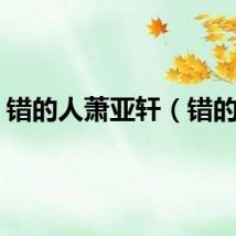 错的人萧亚轩（错的人）