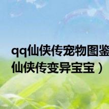 qq仙侠传宠物图鉴(qq仙侠传变异宝宝)