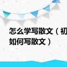 怎么学写散文（初学者如何写散文）