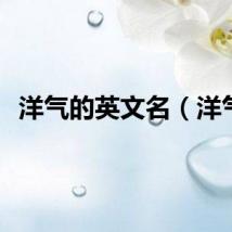 洋气的英文名（洋气）