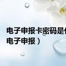 电子申报卡密码是什么（电子申报）
