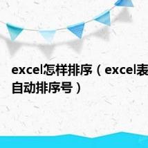 excel怎样排序(excel表格怎么自动排序号)