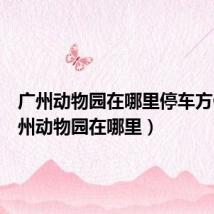 广州动物园在哪里停车方便(广州动物园在哪里)