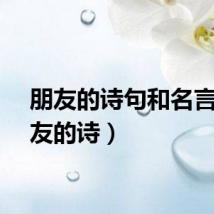 朋友的诗句和名言（朋友的诗）