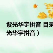紫光华宇拼音 目录（紫光华宇拼音）