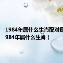 1984年属什么生肖配对最好(1984年属什么生肖)