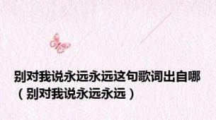 别对我说永远永远这句歌词出自哪（别对我说永远永远）