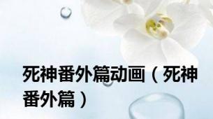 死神番外篇动画（死神番外篇）
