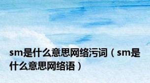 sm是什么意思网络污词（sm是什么意思网络语）