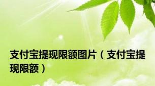 支付宝提现限额图片（支付宝提现限额）