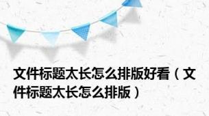 文件标题太长怎么排版好看（文件标题太长怎么排版）