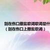 别在伤口撒盐歌词歌词是什么意思（别在伤口上撒盐歌词）