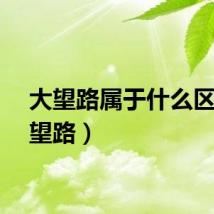 大望路属于什么区（大望路）