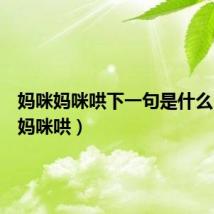 妈咪妈咪哄下一句是什么(妈咪妈咪哄)