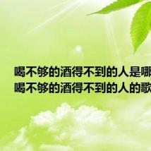 喝不够的酒得不到的人是哪首歌(喝不够的酒得不到的人的歌名)