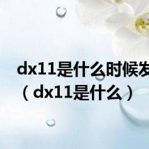 dx11是什么时候发布的(dx11是什么)