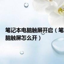 笔记本电脑触屏开启(笔记本电脑触屏怎么开)