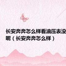 长安奔奔怎么样看油压表没有油了呢(长安奔奔怎么样)