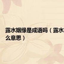 露水姻缘是成语吗(露水姻缘什么意思)