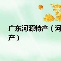 广东河源特产（河源特产）