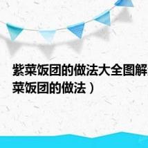 紫菜饭团的做法大全图解法(紫菜饭团的做法)