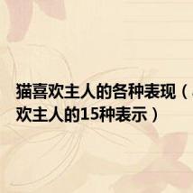 猫喜欢主人的各种表现(小猫喜欢主人的15种表示)