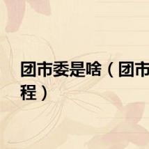 团市委是啥（团市委全程）