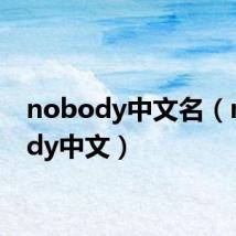nobody中文名(nobody中文)