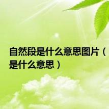 自然段是什么意思图片(自然段是什么意思)