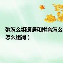 弛怎么组词语和拼音怎么写(弛怎么组词)