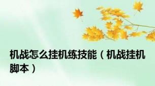 机战怎么挂机练技能（机战挂机脚本）