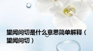 望闻问切是什么意思简单解释（望闻问切）