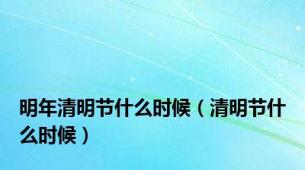 明年清明节什么时候（清明节什么时候）