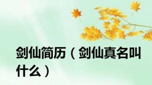 剑仙简历（剑仙真名叫什么）